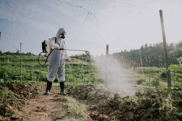 Best Pest Control for Homes  in Stanley, NC