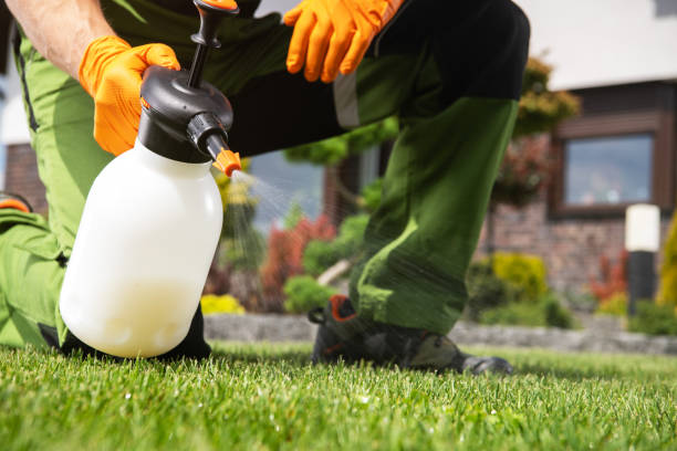 Best Cockroach Control Services  in Stanley, NC