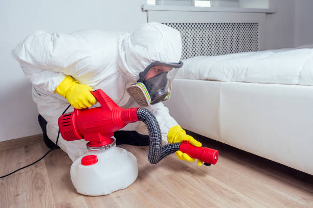 Best Cockroach Control Services  in Stanley, NC