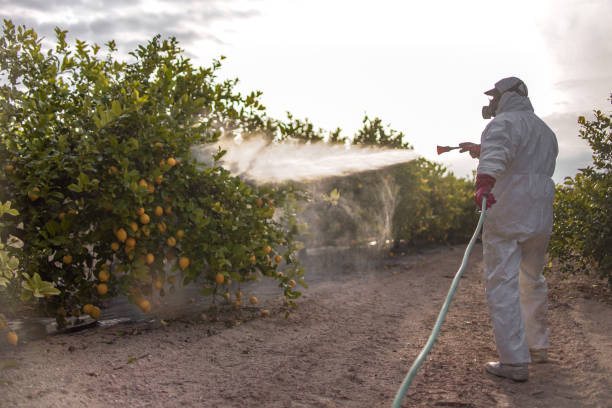 Best Emergency Pest Control  in Stanley, NC