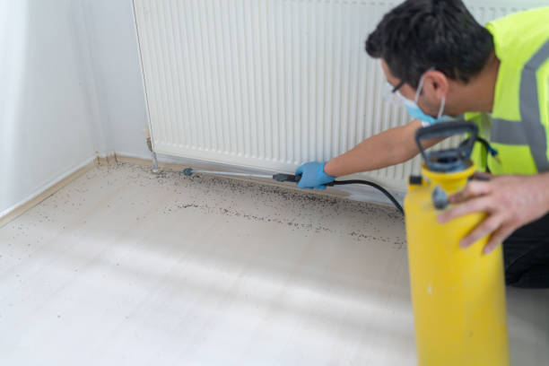 Best Residential Pest Control  in Stanley, NC